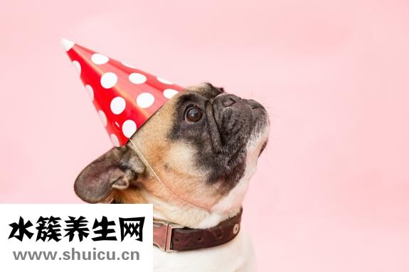 產后三天沒奶怎么辦