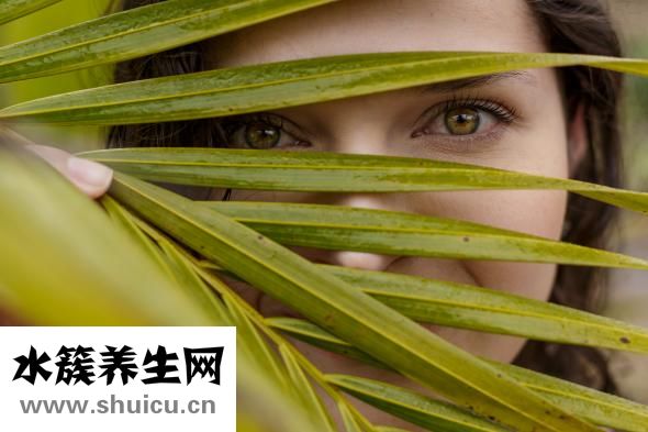 人參怎么看多少年