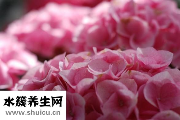 前男友要復(fù)合怎么辦