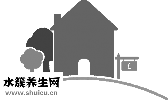 代理輔助怎么推廣