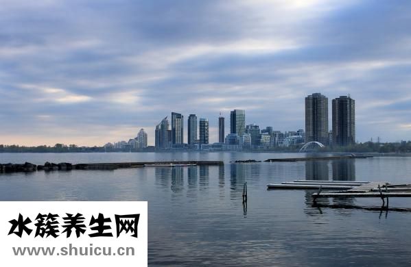 從澳洲怎么去南極