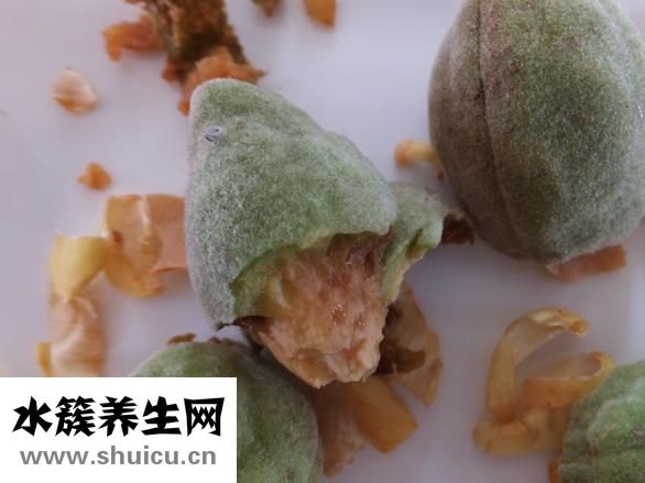 去長隆應該怎么玩