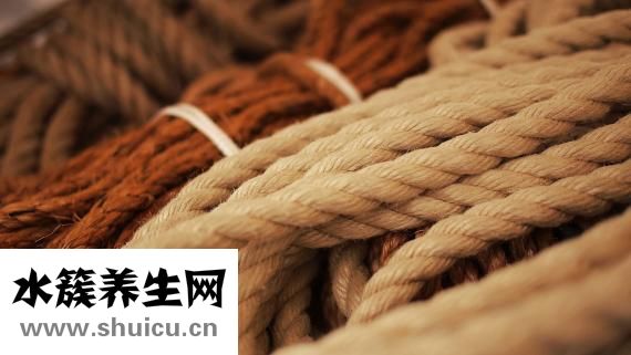 干的章魚(yú)怎么做好吃