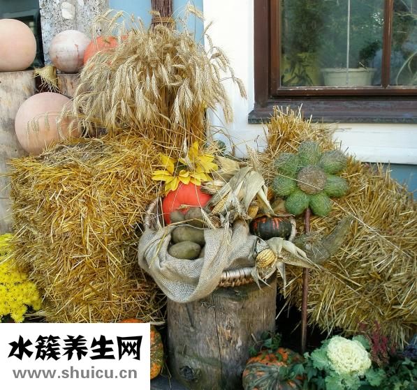 熟食怎么做服務上門