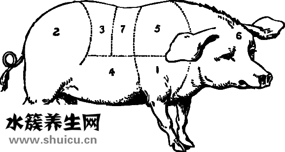 有肥肉的火腿怎么吃