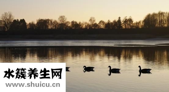 用性怎么調嬌女人