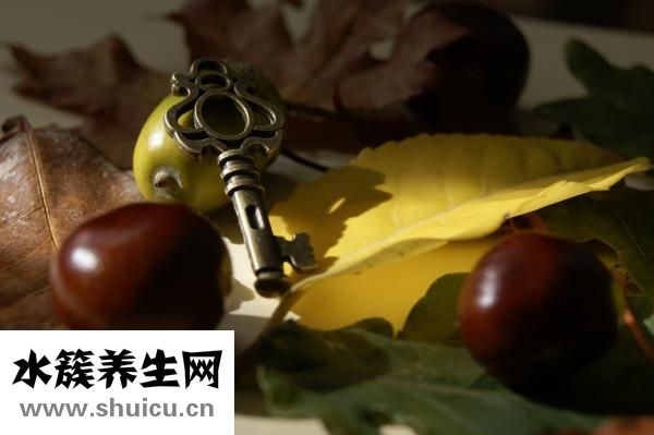 自己在家怎么做板栗