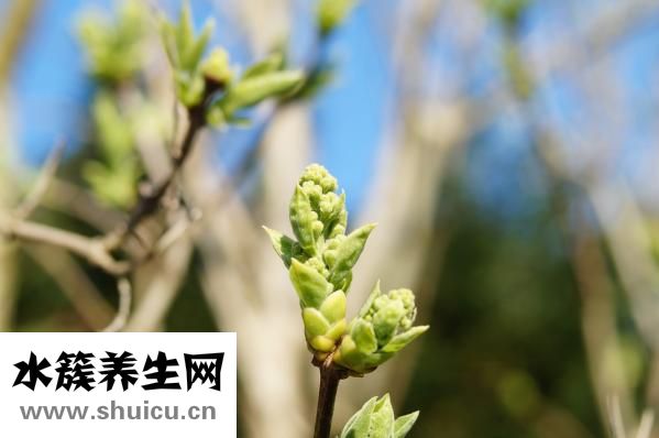 夏天流汗多怎么辦