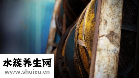 賓館怎么驅(qū)趕病人