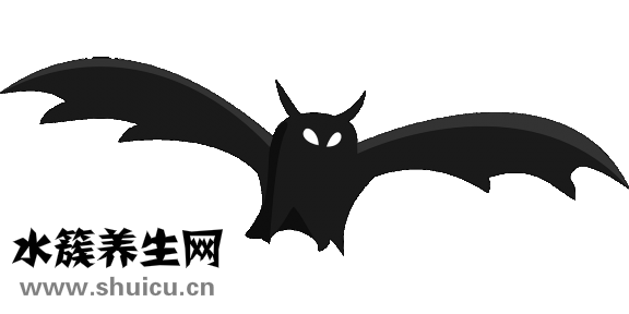 遇到蝙蝠怎么辦