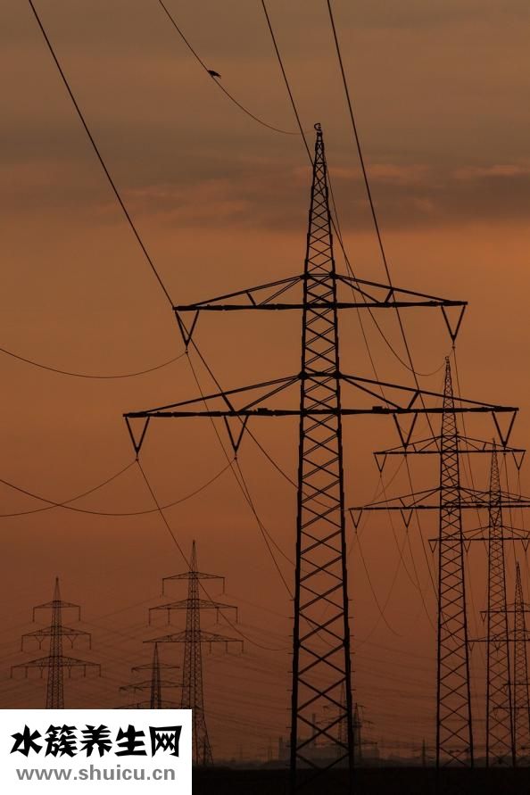 芹菜發黃是怎么回事