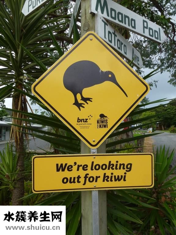 臉頰有色斑怎么去除