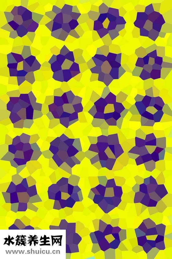 被馬咬傷怎么辦