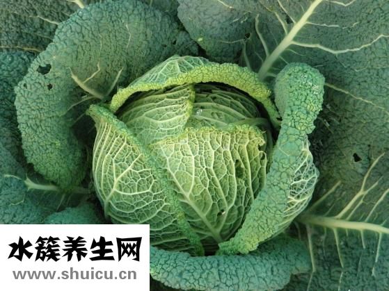 土豆大白菜怎么炒