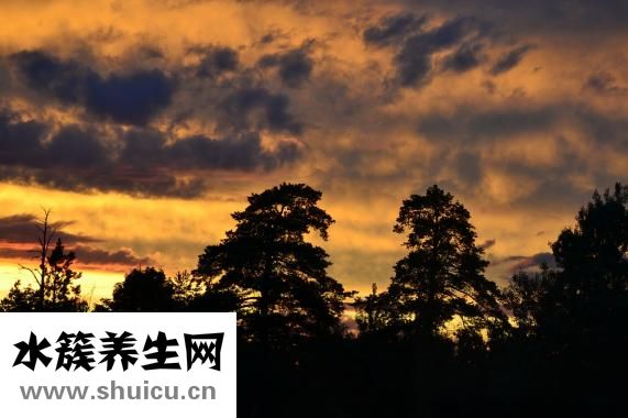 寶寶頭部碰腫怎么辦