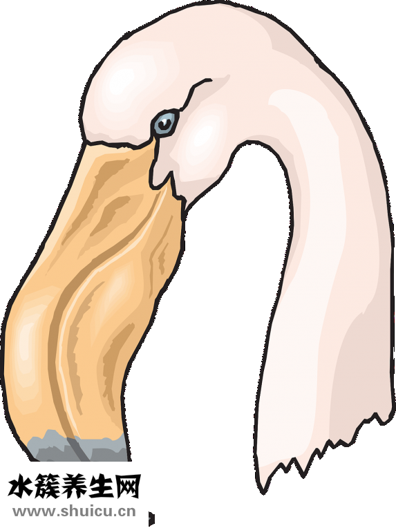 怎么檢查愛(ài)茲病