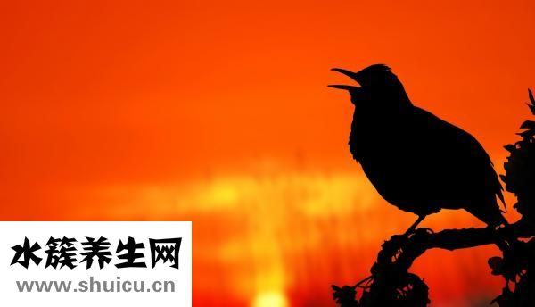 怎么利用經(jīng)期減肥