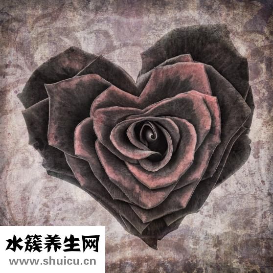 心臟有水是怎么回事