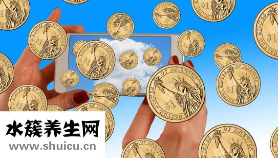 支付寶打的怎么用