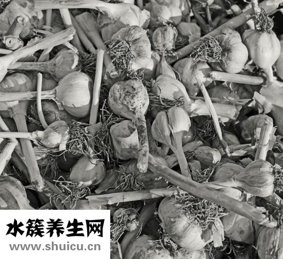 孔雀魚(yú)下崽了怎么辦