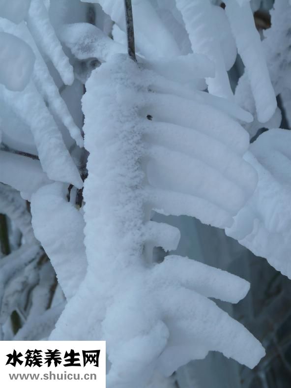 溜完冰后頭疼怎么辦