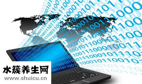 支付寶打的怎么用