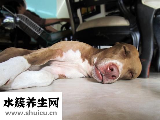 孩子睡前鼻塞怎么辦