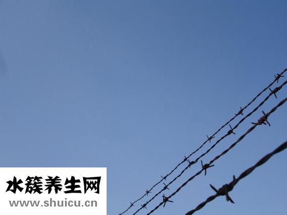 對啥都沒興趣怎么辦