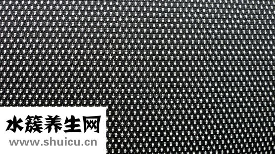 豇豆角怎么保存