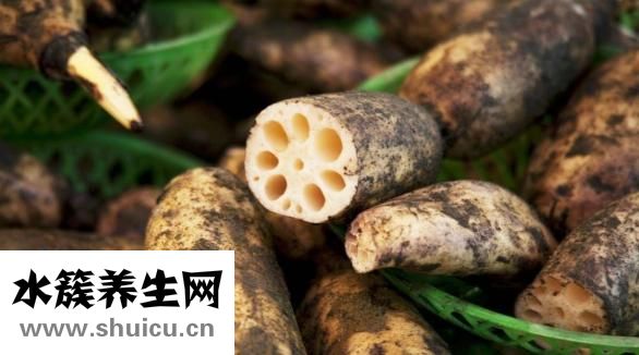 腎不排毒怎么辦