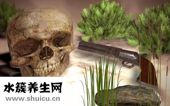 摔到骨頭怎么補(bǔ)