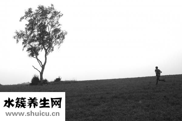 被迷老鼠迷怎么解決