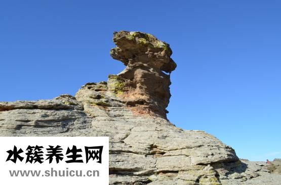 蒙古鐵腰丹怎么吃