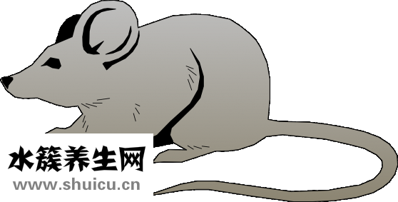 尾巴骨摔斷了怎么治