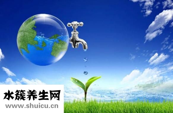 被迷老鼠迷怎么解決