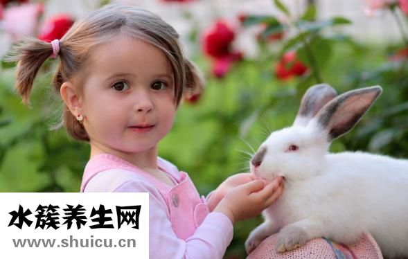 怎么做地瓜饅頭