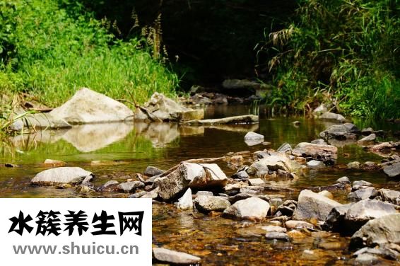 眼睛有白點怎么回事