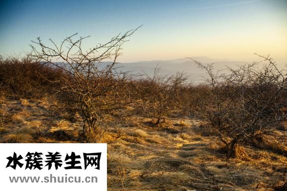 成天休息不好怎么辦