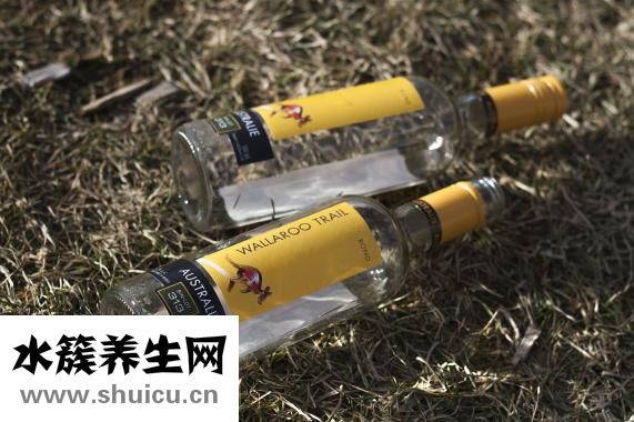 摔到骨頭怎么補(bǔ)