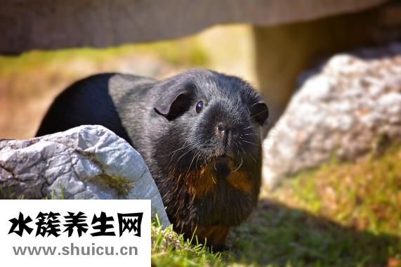 懷孕長雀斑怎么辦