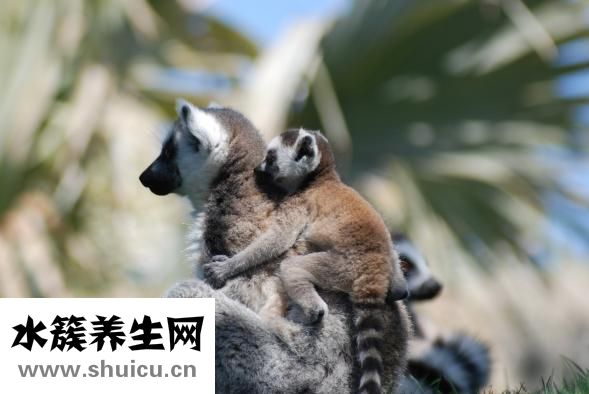 成人潤滑油怎么用