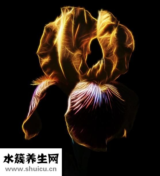 女性的胡子怎么去除