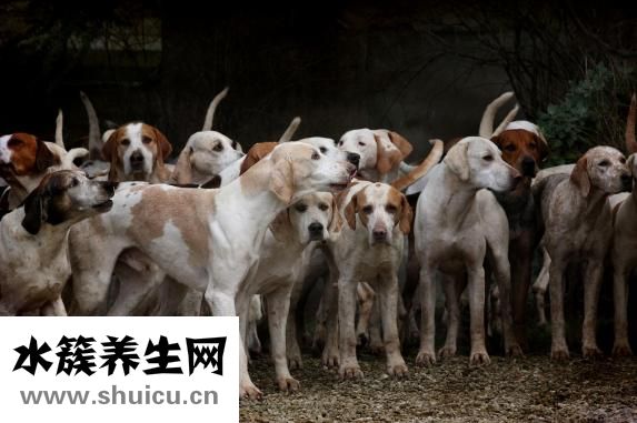 肌肉怎么練有型