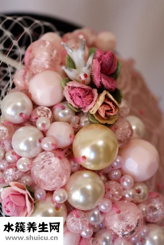 迷你矮珍珠怎么修剪