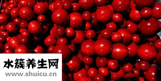 西洋參怎么挑選