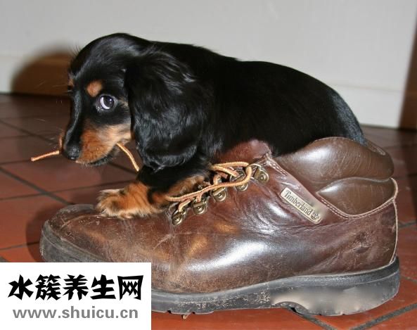 嬰兒肚子受涼怎么辦