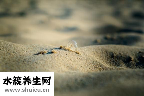 海水缸怎么清理