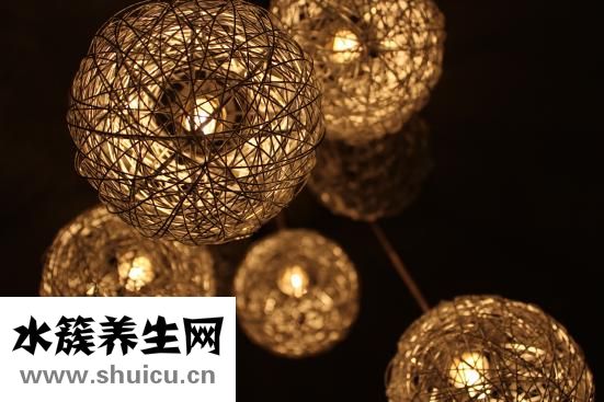 蟲子爬過很癢怎么辦