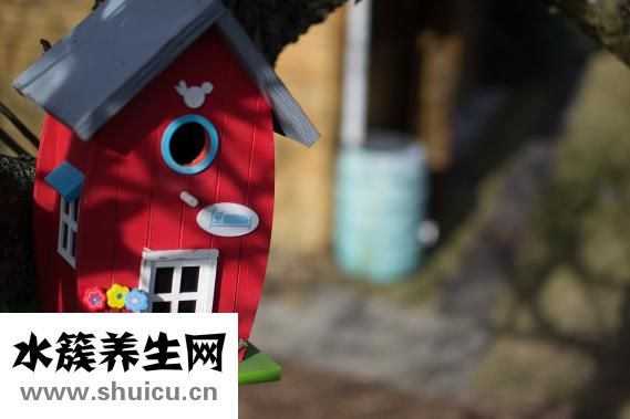 怎么治療凍手凍腳