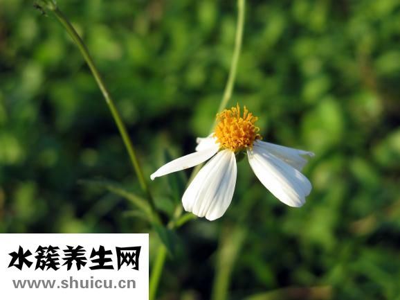 孕婦胸口痛怎么辦